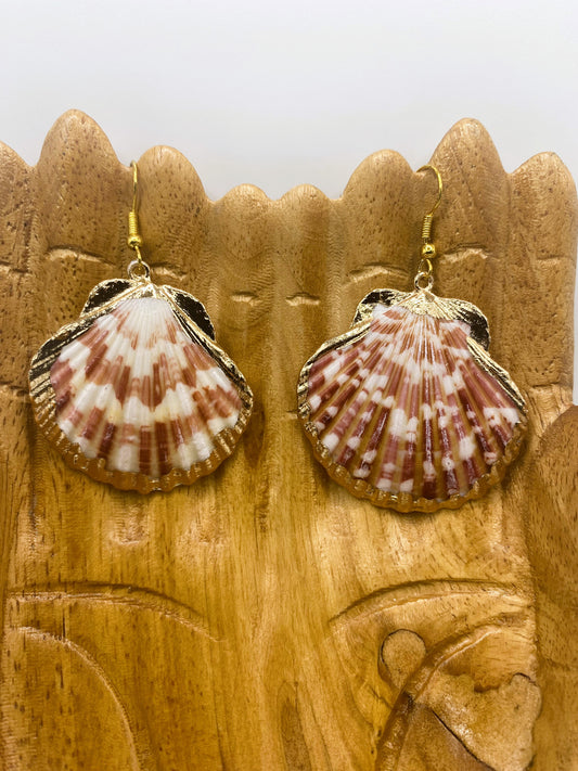 Gold Accent Scallop Shell Earrings