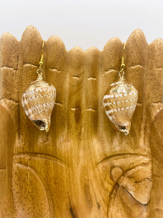 Gold Accent Seashell Earrings