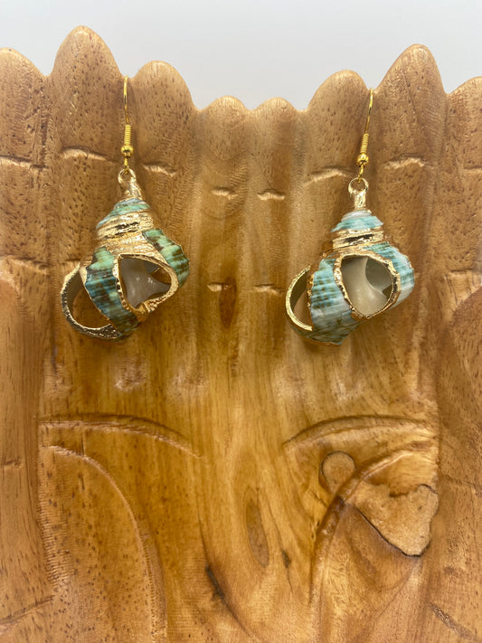 Green Turbo Seashell with Gold Accent Earrings