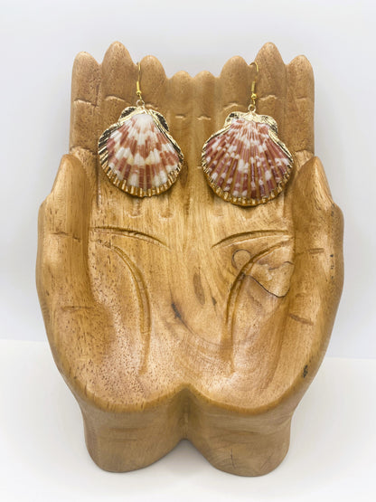 Gold Accent Scallop Shell Earrings