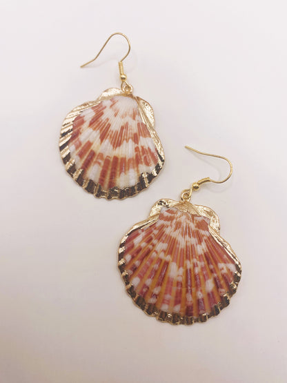 Gold Accent Scallop Shell Earrings