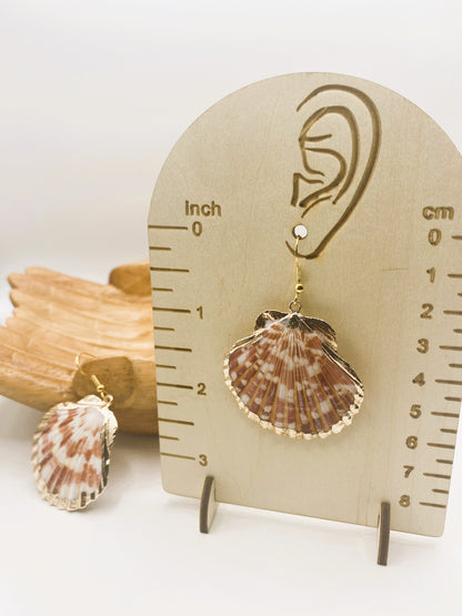Gold Accent Scallop Shell Earrings