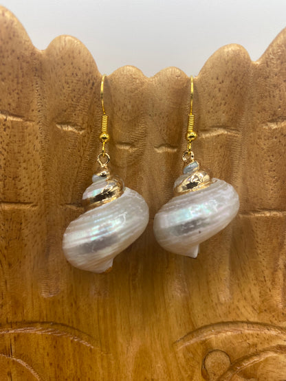 White Pearl Turbo Seashell Earrings