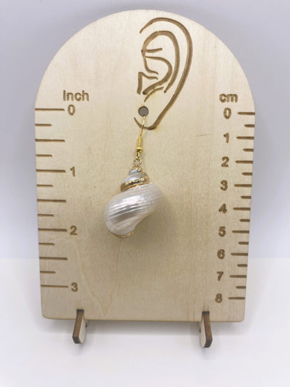White Pearl Turbo Seashell Earrings