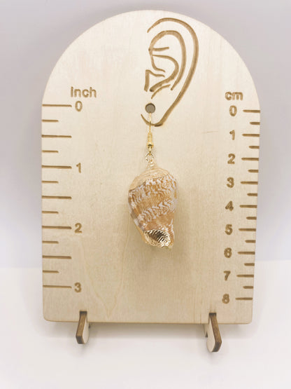 Gold Accent Seashell Earrings