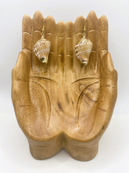 Gold Accent Seashell Earrings