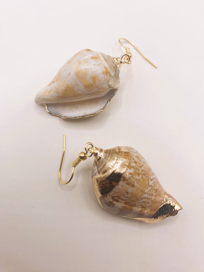 Gold Accent Seashell Earrings