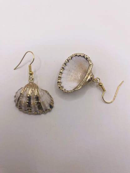 White Shell with Gold Accent Earrings