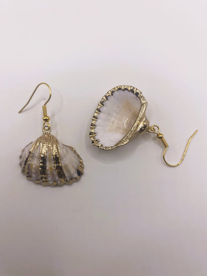 White Shell with Gold Accent Earrings