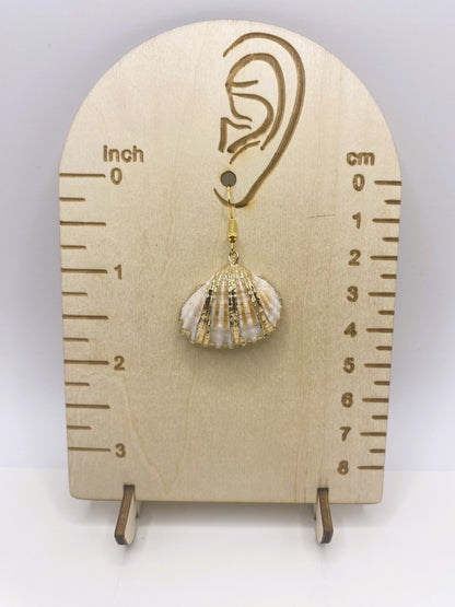 White Shell with Gold Accent Earrings