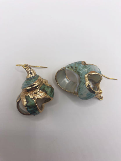 Green Turbo Seashell with Gold Accent Earrings