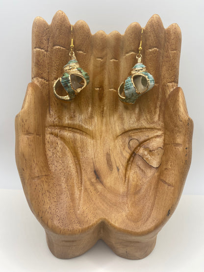 Green Turbo Seashell with Gold Accent Earrings