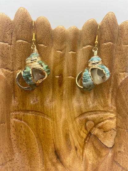 Green Turbo Seashell with Gold Accent Earrings