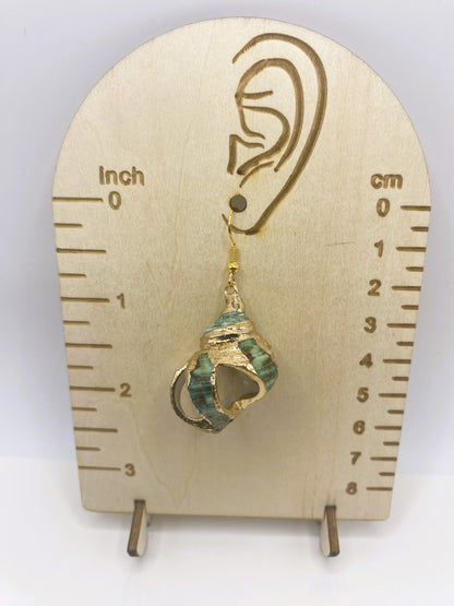 Green Turbo Seashell with Gold Accent Earrings