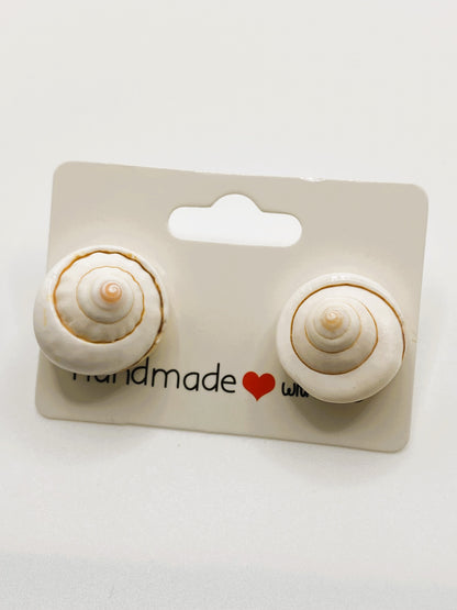 Spiral Seashell Stud Earrings